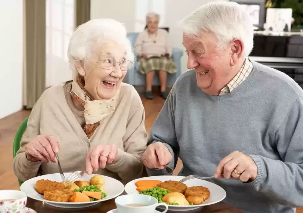 pola makan lansia